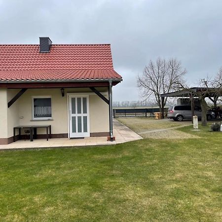 Ferienhaus Altenhof Mueritz Extérieur photo